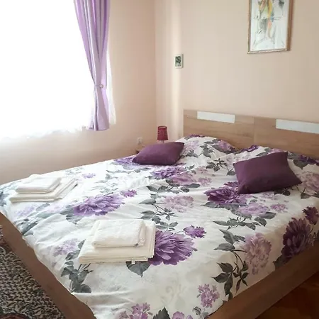Apartment Elmina *